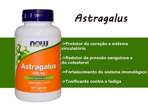 astragalus