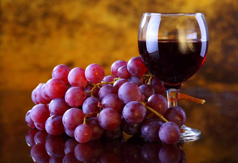 resveratrol uvas